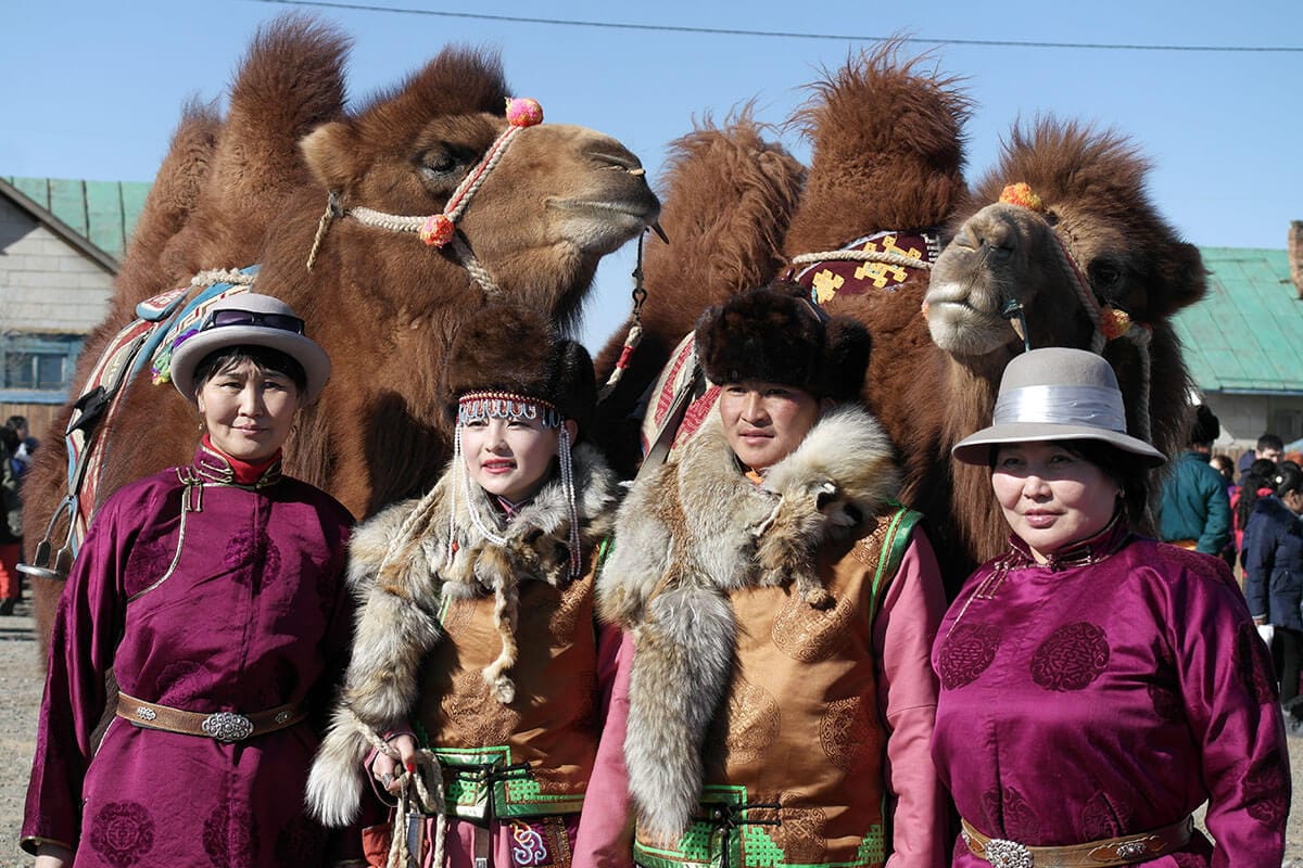 Camel festival