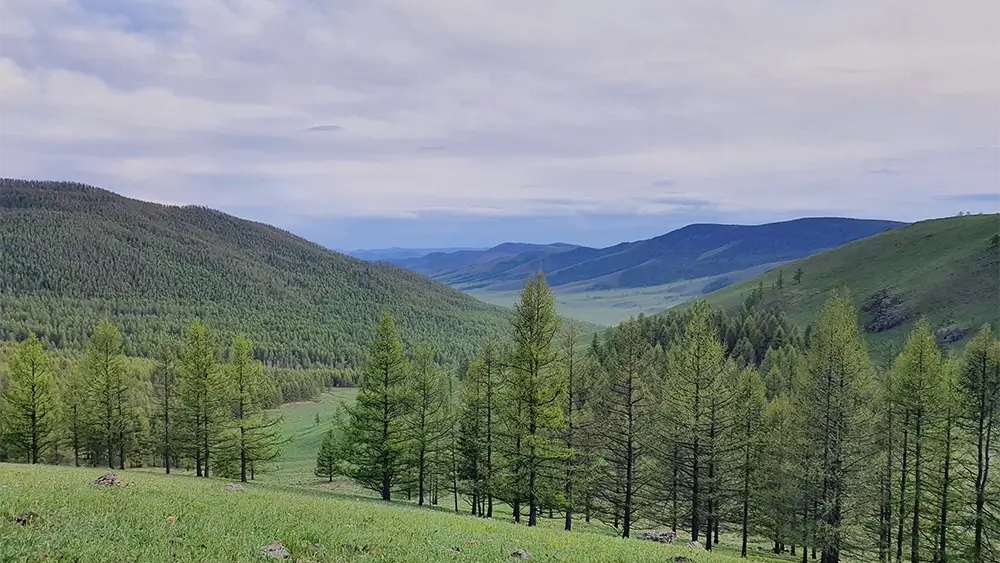 Terelj national park