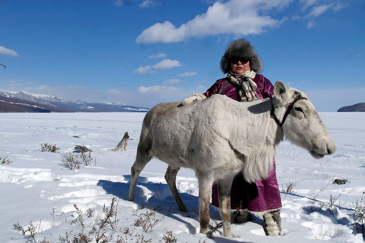 Reindeer herder