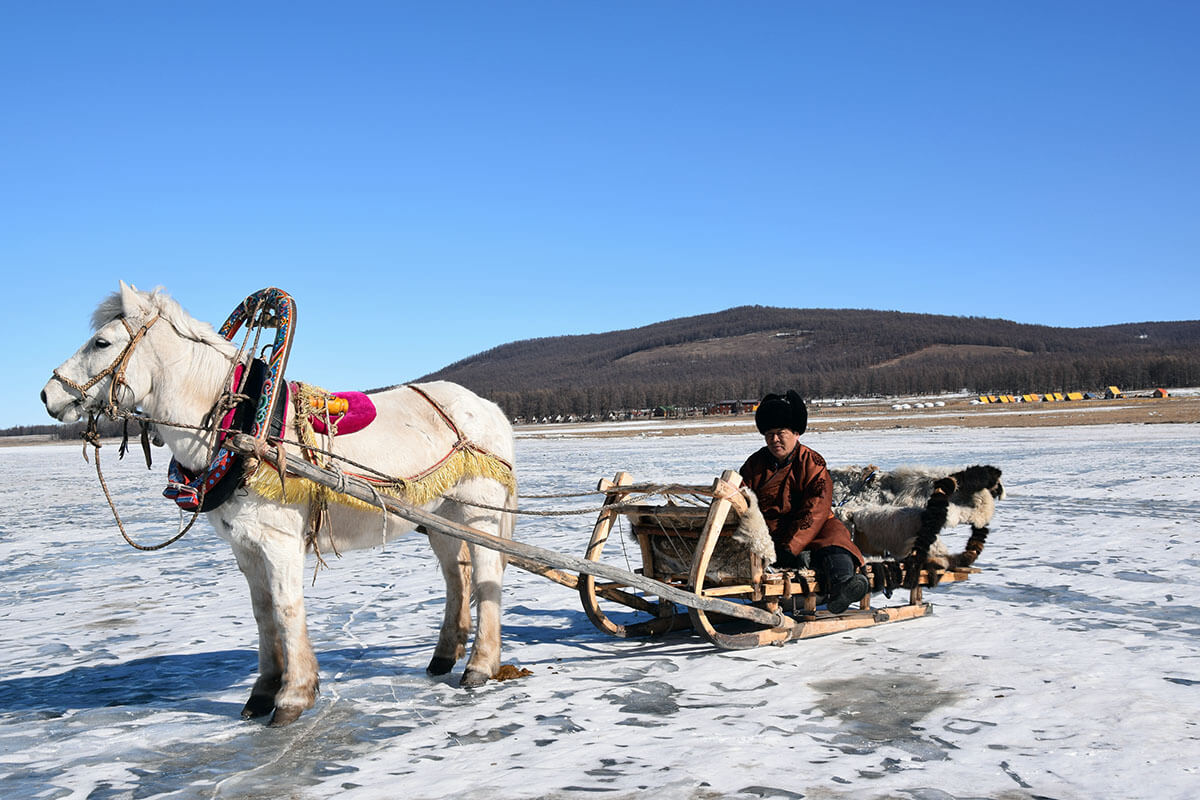 Horse sleigh