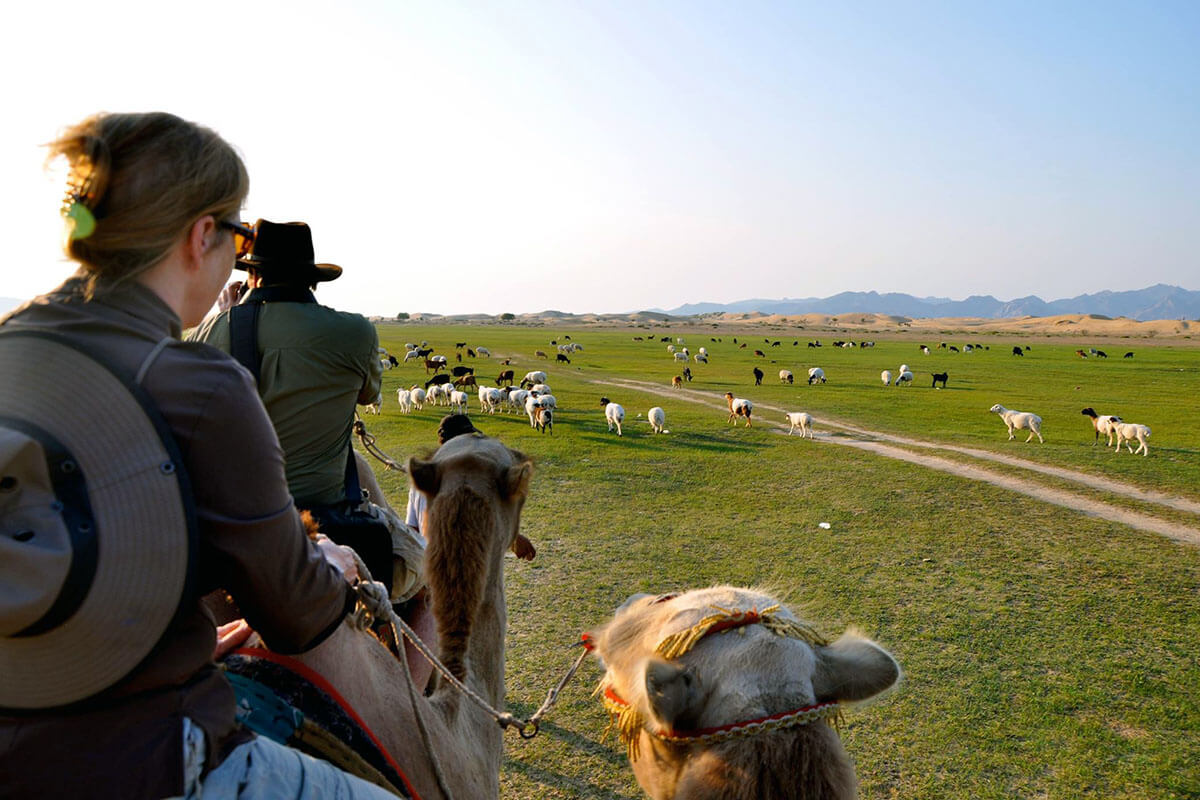 Camel riders