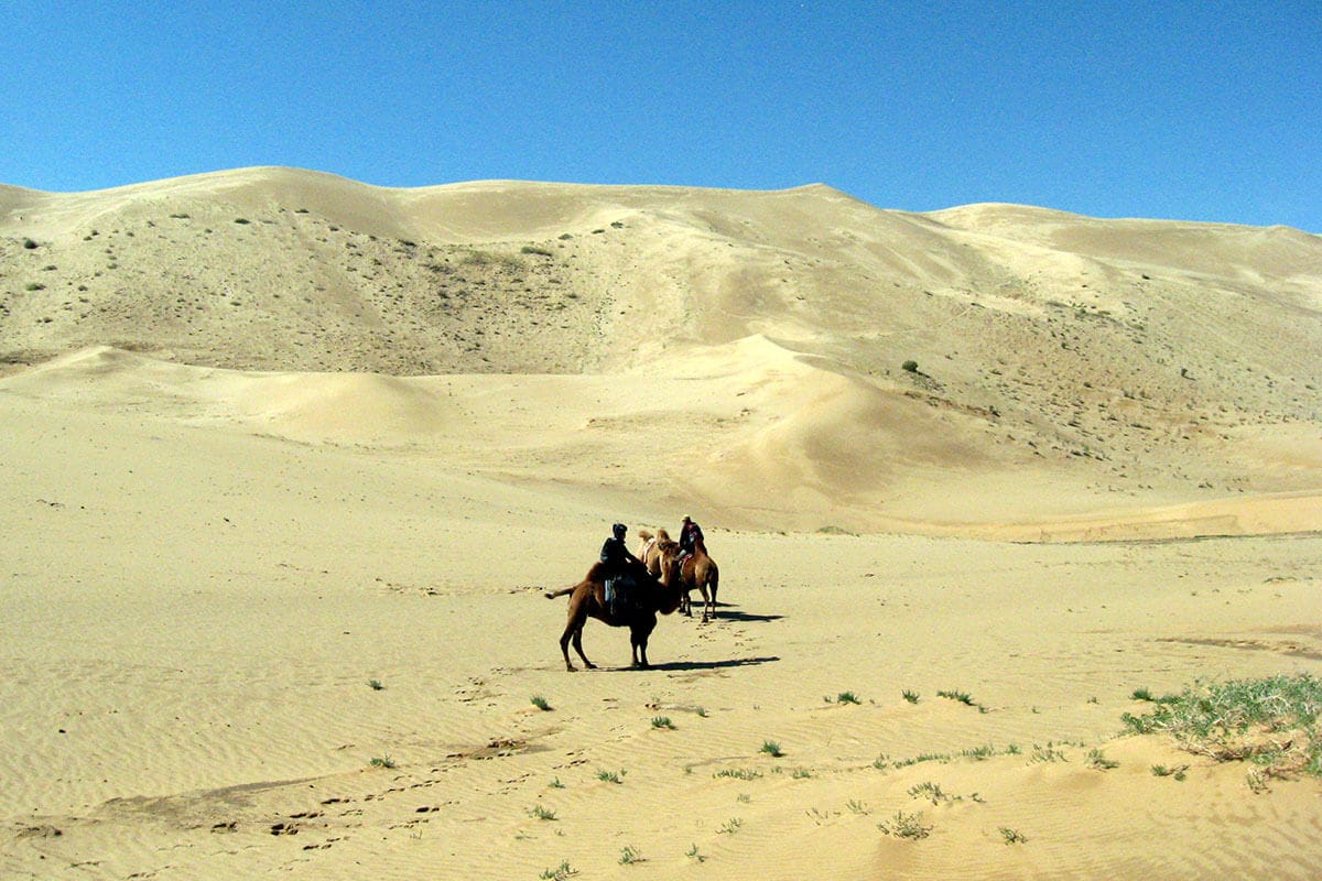 Camel riding along the dune Camel riding along the dune