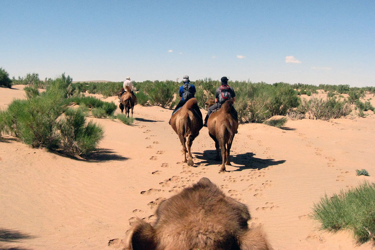 Camel ride