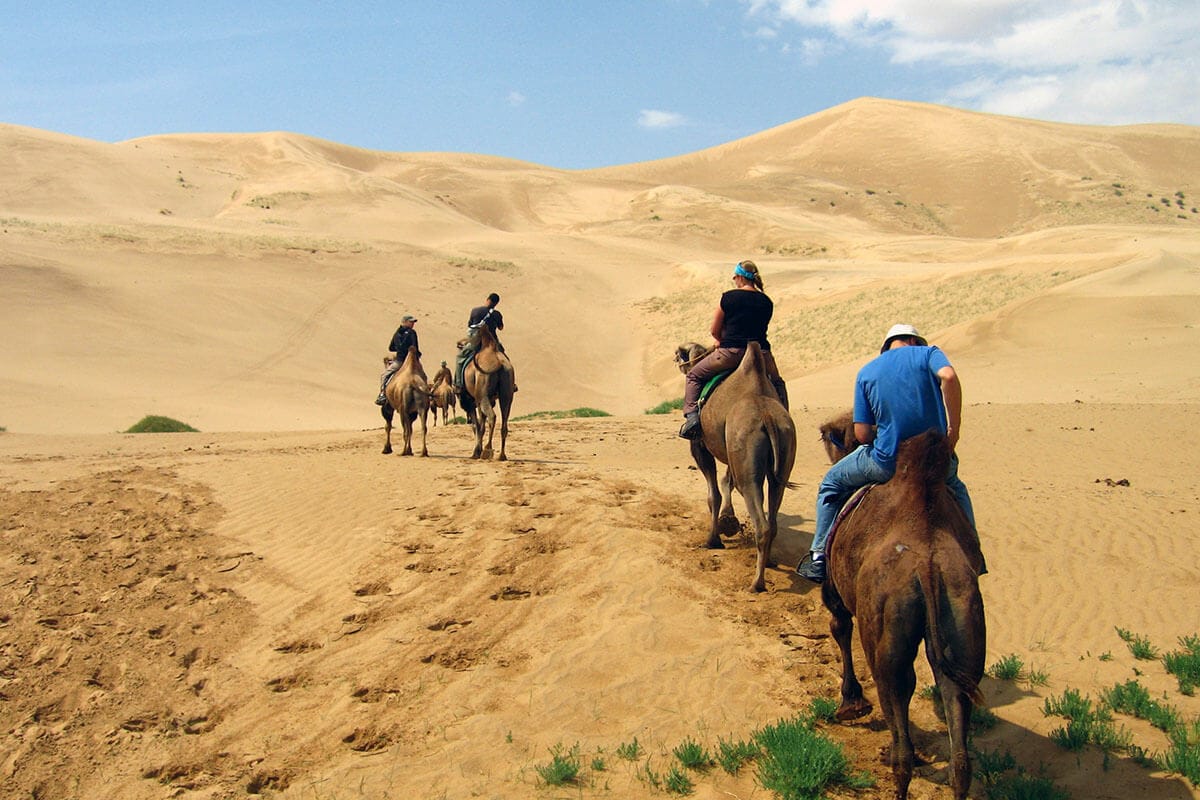 Camel riding along the dunes Camel riding along the dunes