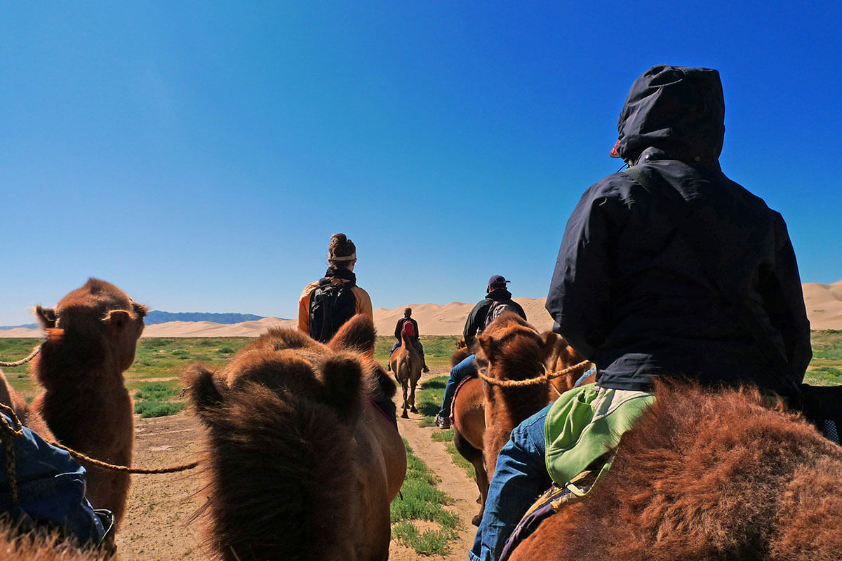 Camel ride
