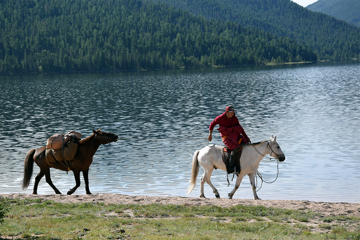 horse ride