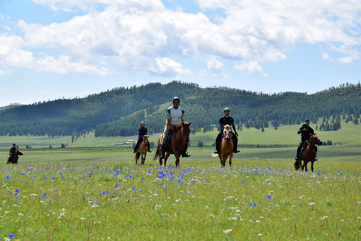 horseback riding