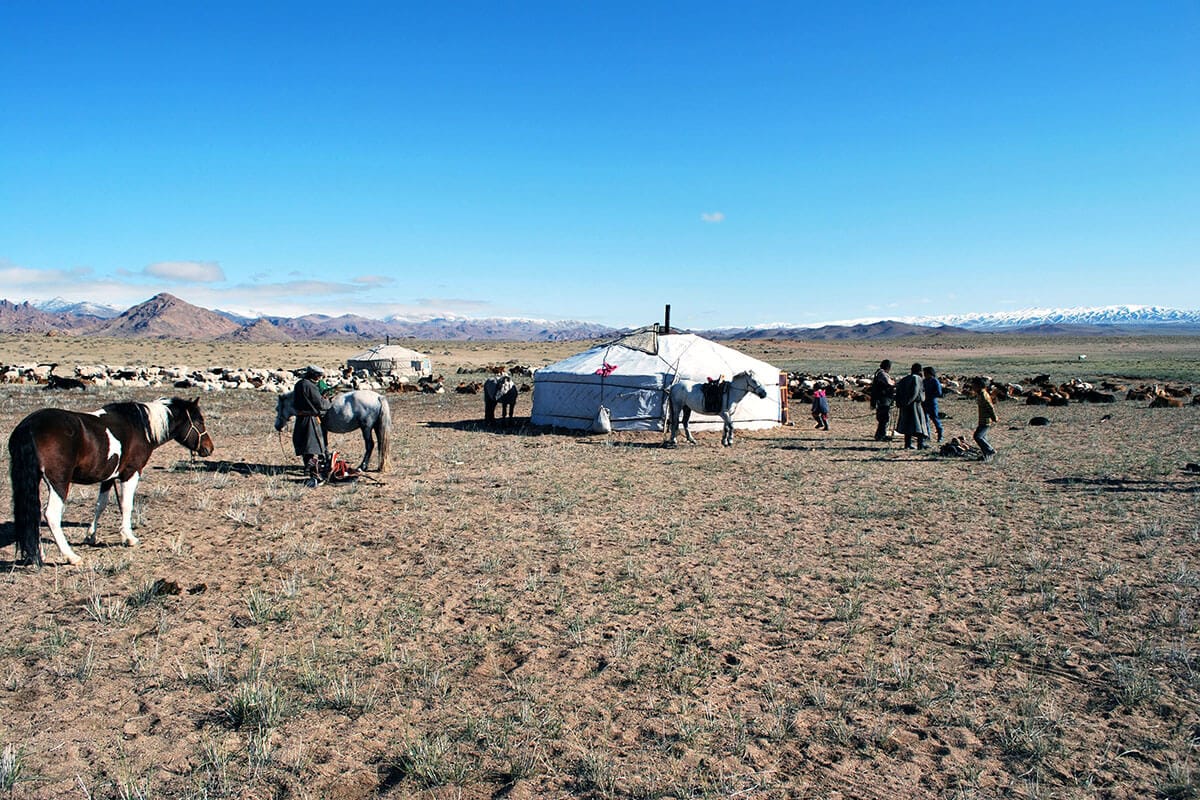 Nomad family
