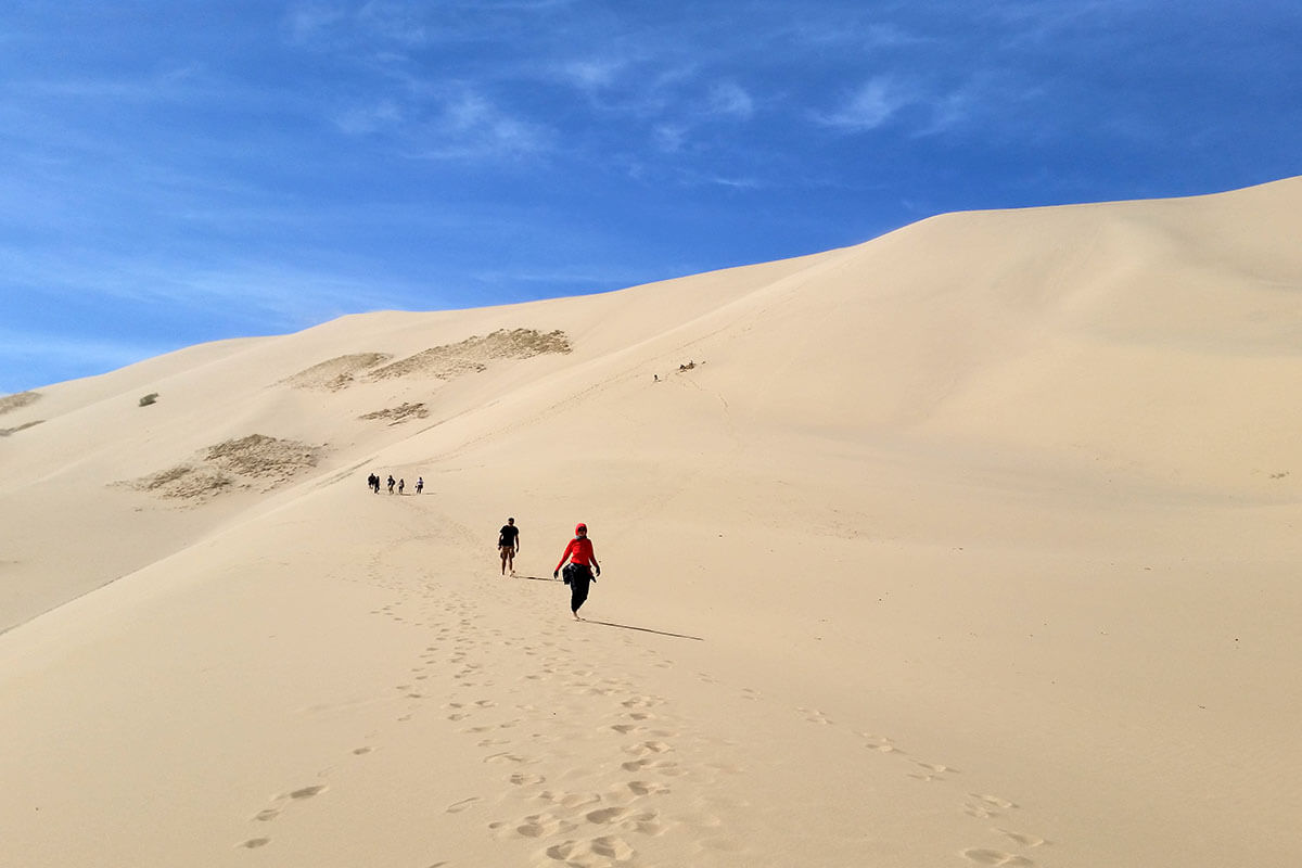 Khongoryn sand dune