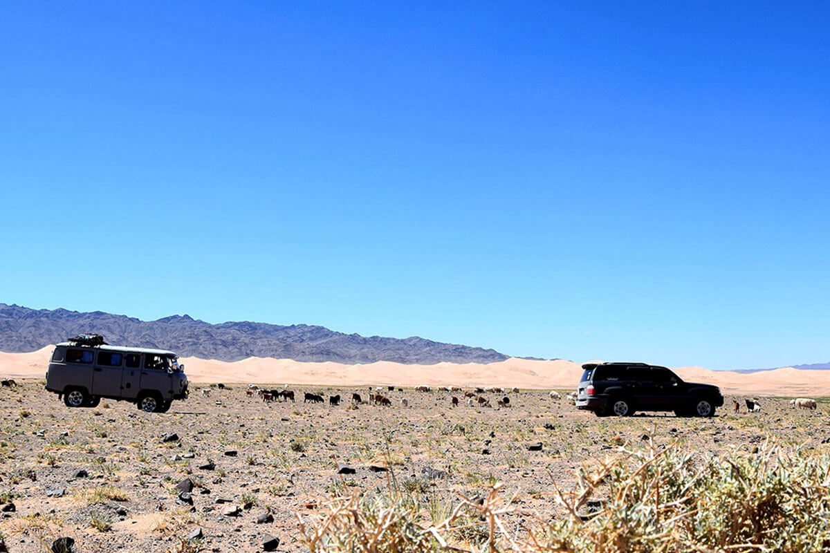 Sand Dune