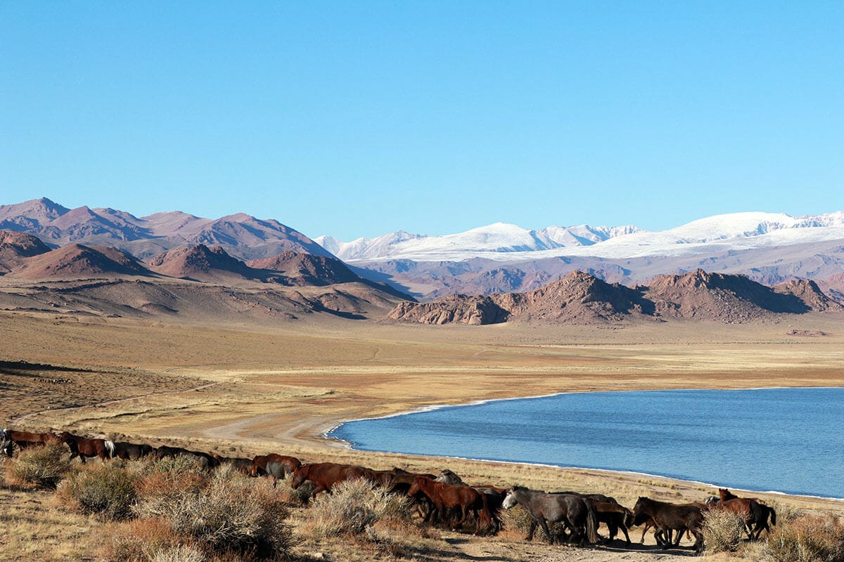Shaazgai lake Shaazgai lake