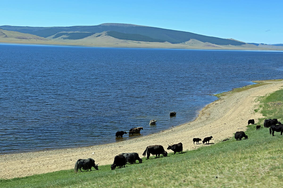 Terkhiin Tsagaan lake