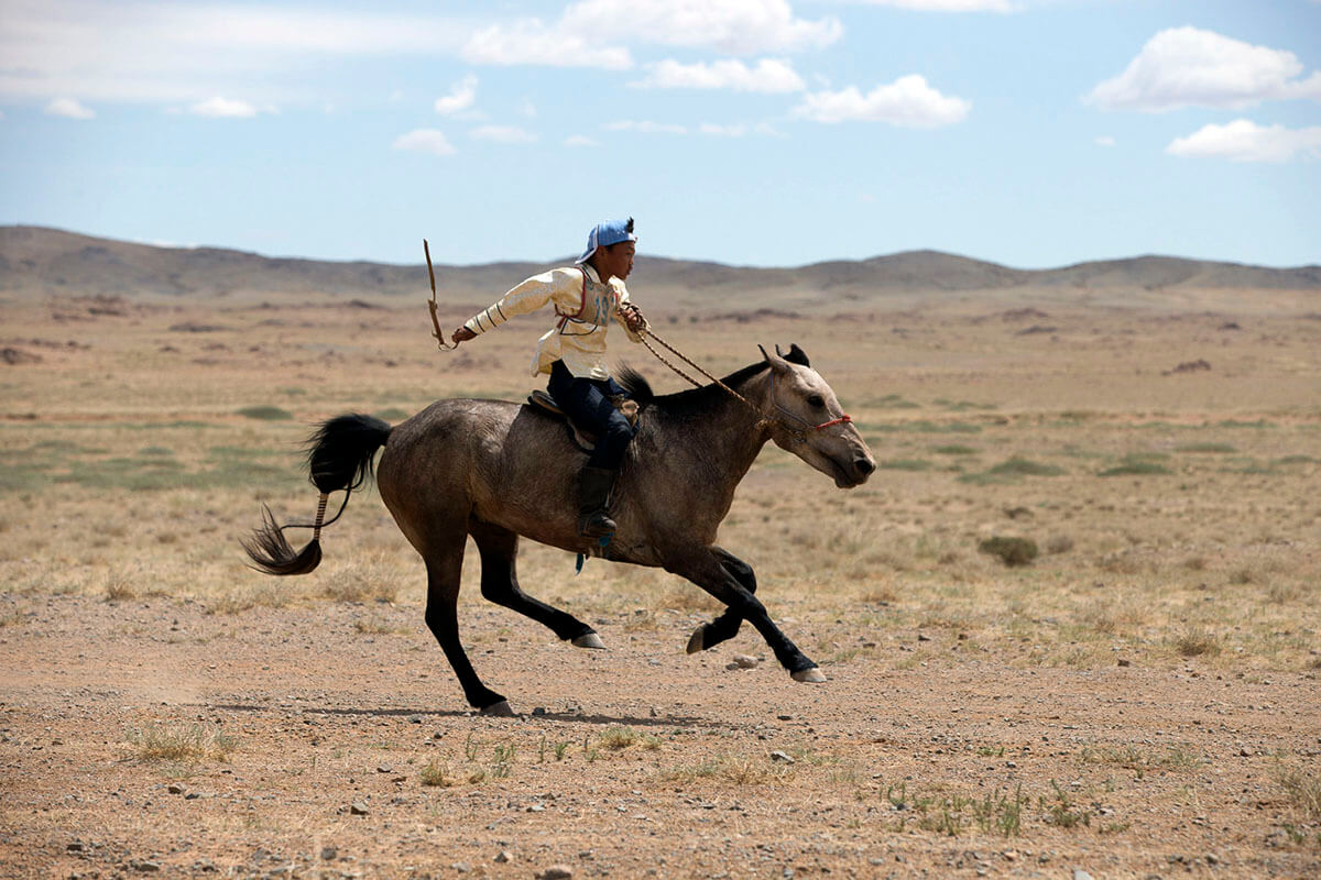 Horse racer