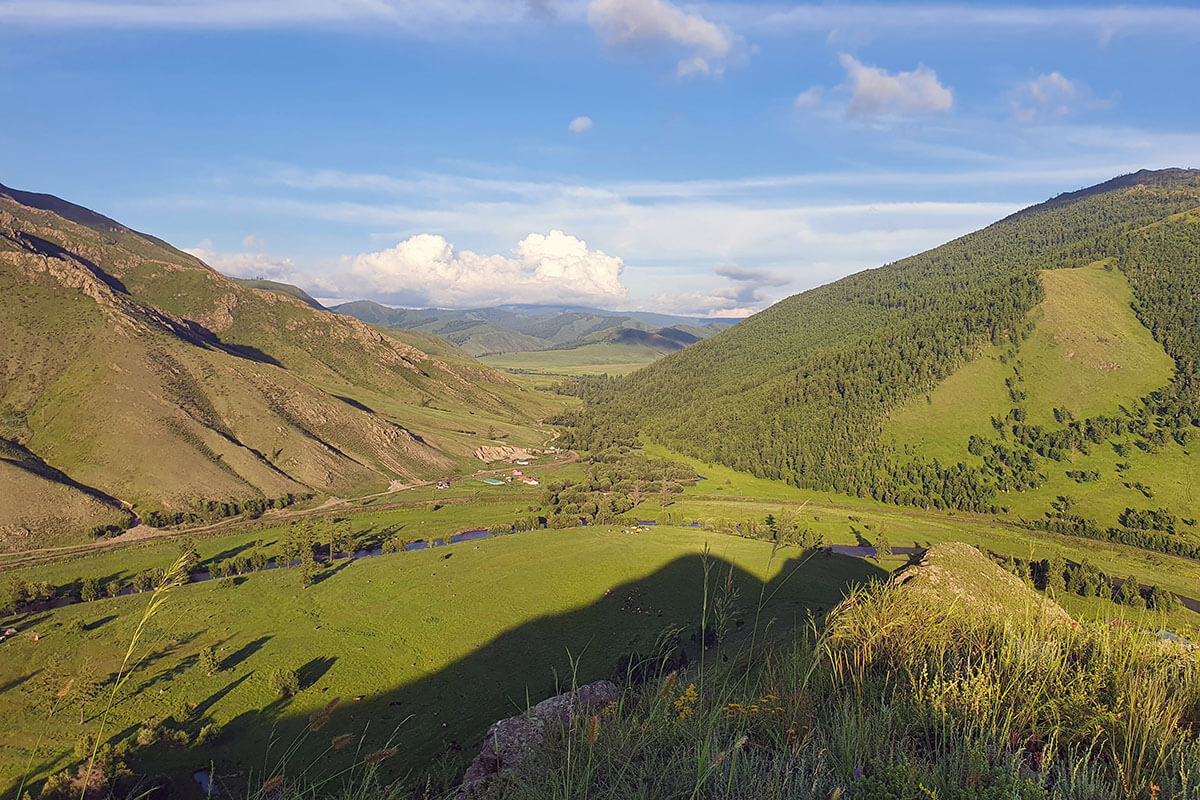 Mongolian grassland