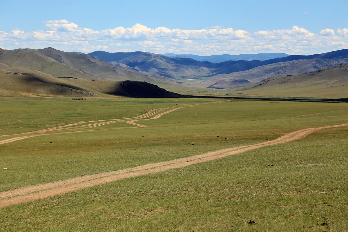 Mongolian Grassland