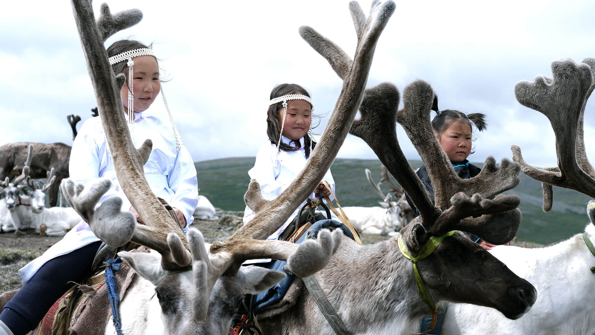 Reindeer girls