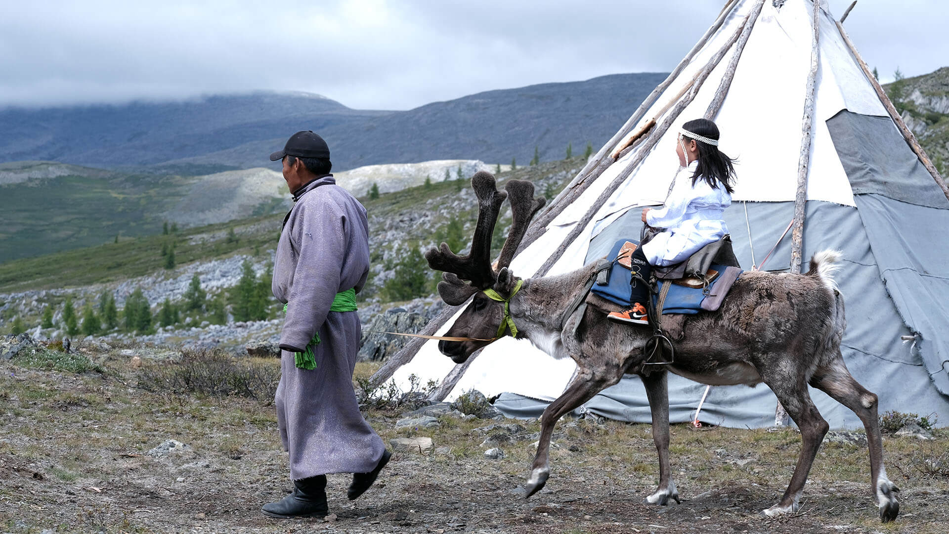 Reindeer tribes