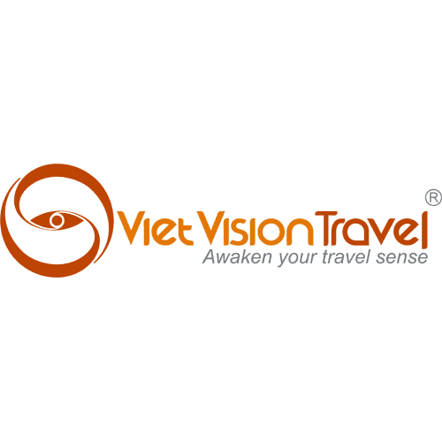 Viet-Vision-Logo.png