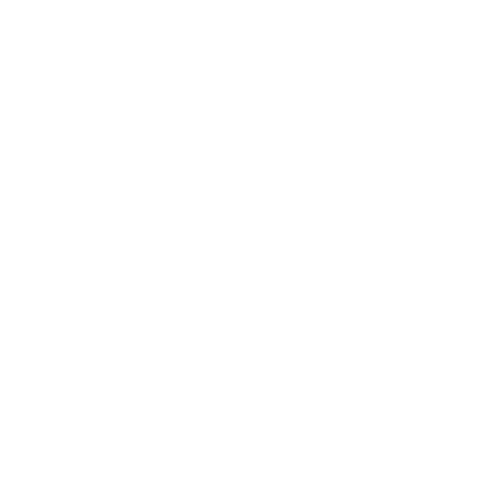 Zucchi-Tours-logo-002.png